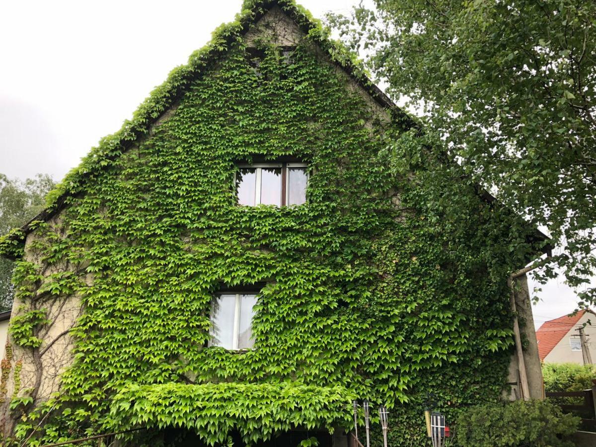 Veranda Apartman Nyíregyháza Exteriör bild