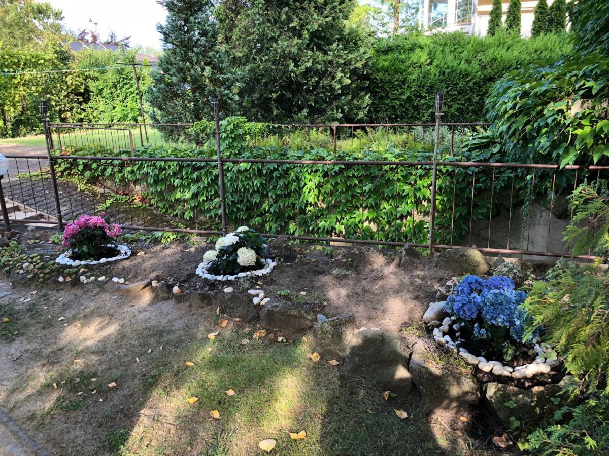Veranda Apartman Nyíregyháza Exteriör bild