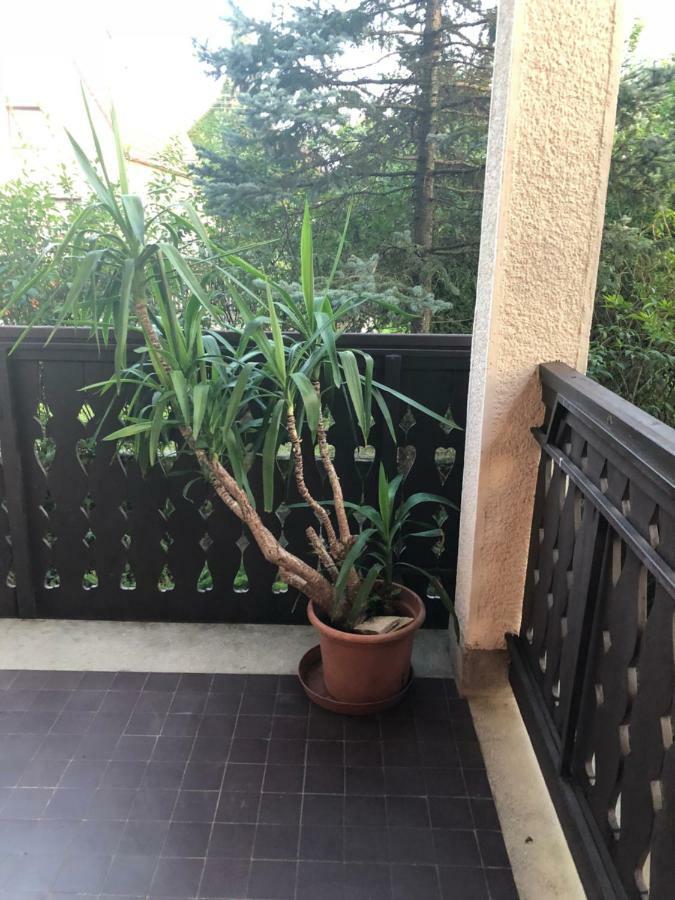 Veranda Apartman Nyíregyháza Exteriör bild