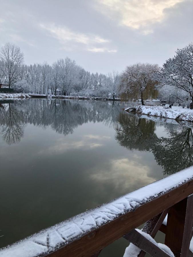 Veranda Apartman Nyíregyháza Exteriör bild