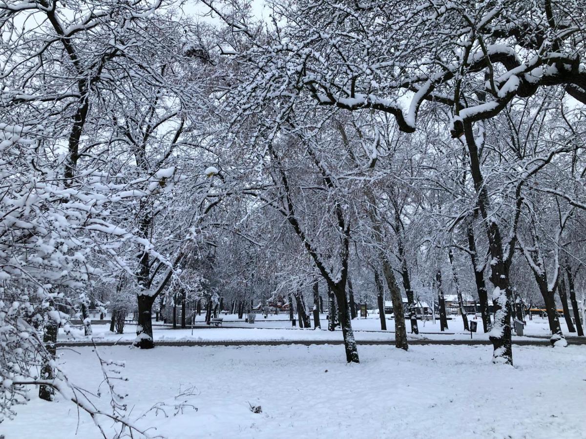Veranda Apartman Nyíregyháza Exteriör bild